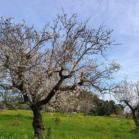 Dimora Cerase * بولينيانو آ ماري